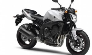 1000 FZ1