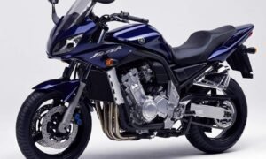 1000 FZS Fazer