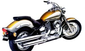 1100 Dragstar