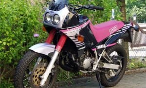 125 TDR 3XD