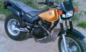 125 TW