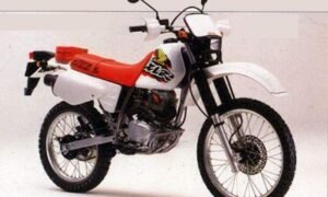 125 XLR