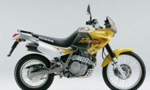 650 Dominator RD08