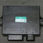 CDI de YAMAHA YZF 1000 Thunder Ace