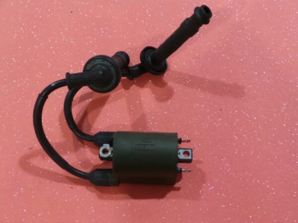 Bobine haute tension, câbles et capuchons de bougie pour HONDA 600 Hornet.
