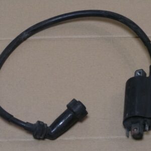 Bobine Denso 129700 et antiparasites pour YAMAHA 125 Virago et Dragstar