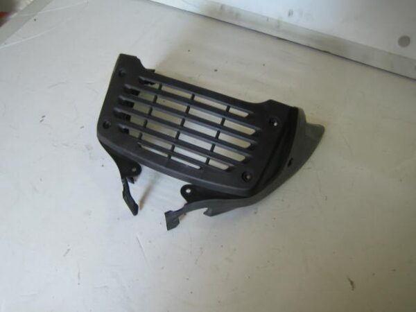 Enjoliveur cache radiateur (3 pièces)  DAELIM 125 Roadwin