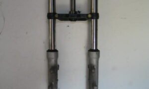 Fourche complète de DEALIM 125 Roadwin