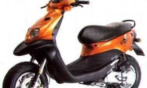 50 Trekker
